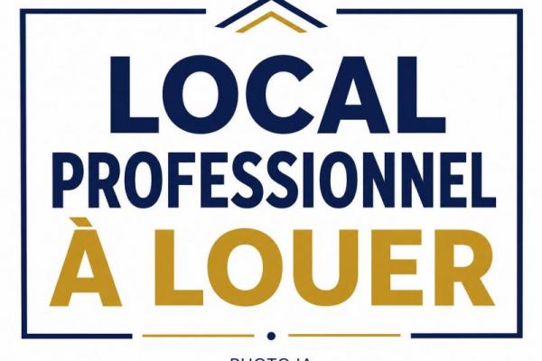 DAMGAN : Local professionnel à louer