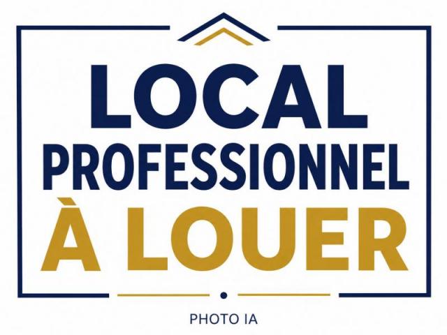 DAMGAN : Local professionnel à louer
