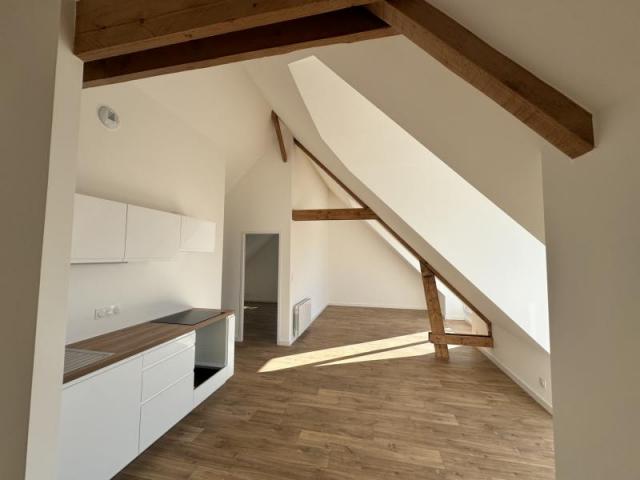 DAMGAN : T3 ENTIÈREMENT RÉNOVÉ AVEC TERRASSE 30M2 VUE MER ÉL