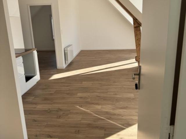 DAMGAN : T3 ENTIÈREMENT RÉNOVÉ AVEC TERRASSE 30M2 VUE MER ÉL